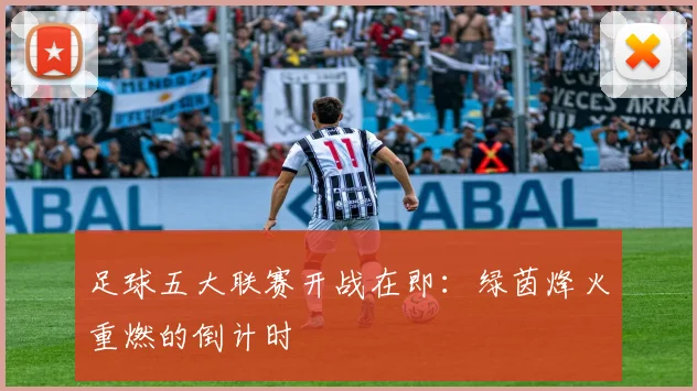 足球五大联赛开战在即:绿茵烽火重燃的倒计时